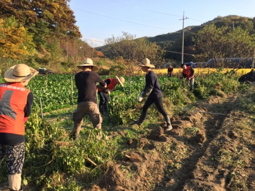 코리아텍 학생들 청양 산꽃 마을서 기술봉사활동 펼쳐