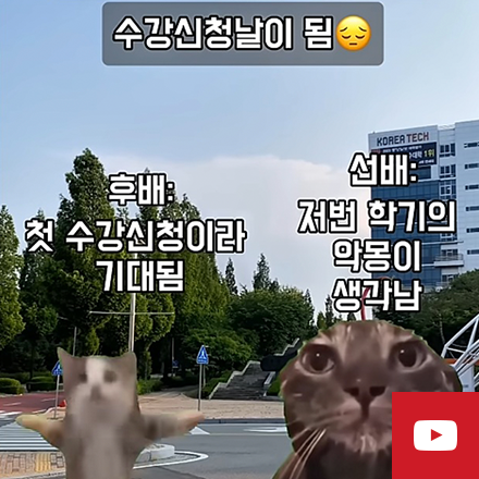수강신청 공감